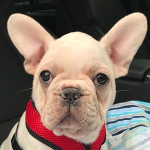 Meet your Posher, Jenny